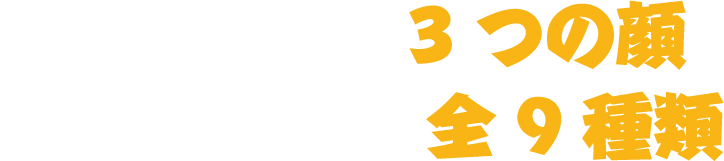 1つの味に3つの顔　パッケージは全9種類